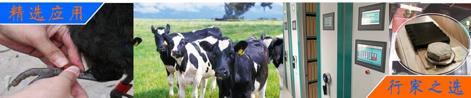 RFID解決方案|畜牧業(yè)動(dòng)物管理/資產(chǎn)管理/無源測(cè)溫/寵物管理 - 上海營信-RFID技術(shù)專家